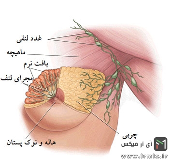 روش انجام ماموگرافی