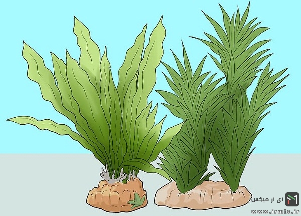 ساخت آکواریوم