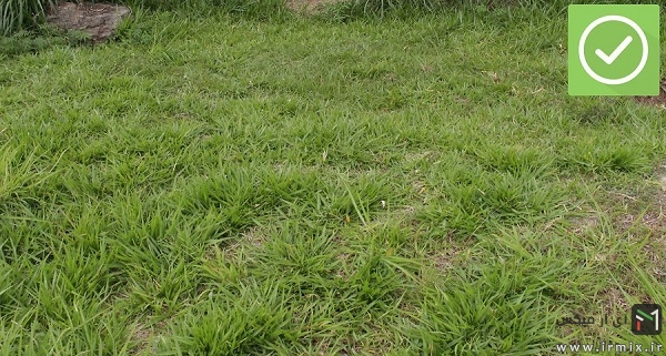 راهنمای تصویری نصب و بستن انواع چادر مسافرتی میله ای