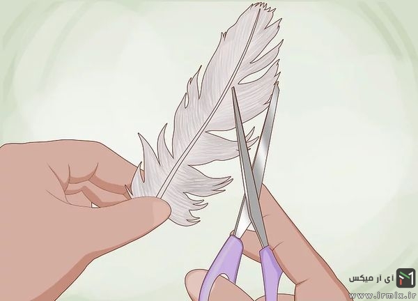 قیچی کردن اطراف پر