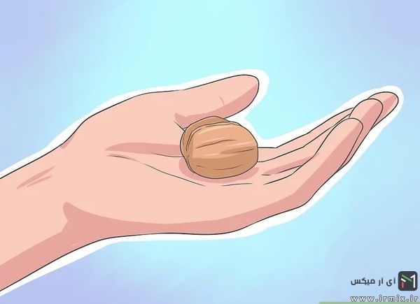 چطور گردوی تازه را خشک کنیم
