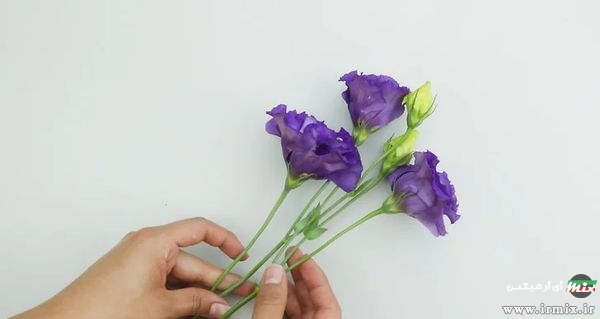 خشک کردن گل با مایکروویو
