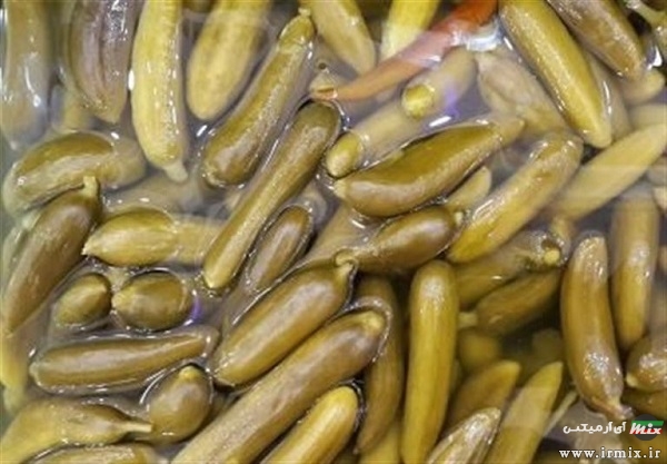 کپک روی دبه خیار شور