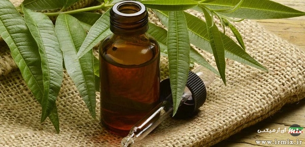 روغن برگ چای
