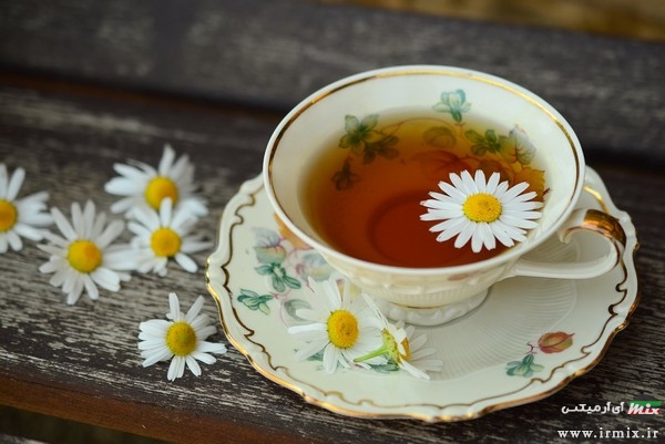 چای بابونه