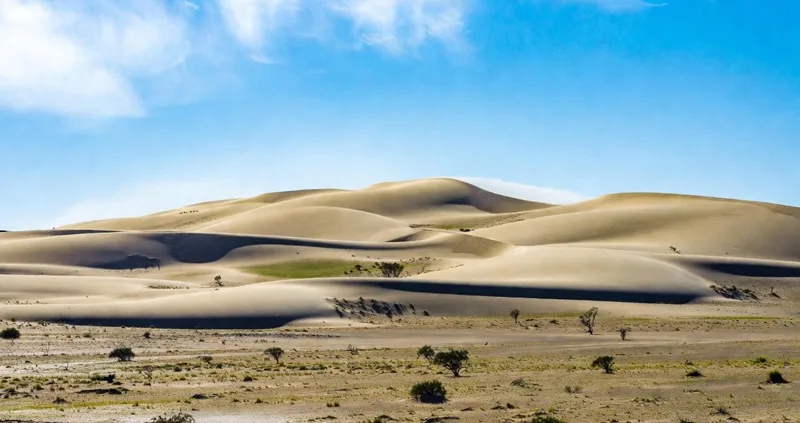سرسبزی کویر مرنجاب در فصل بهار