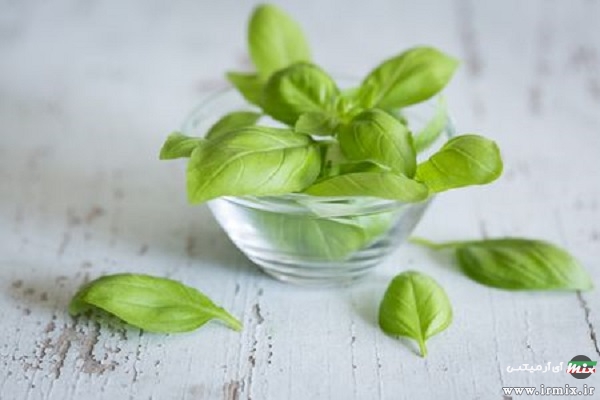 جلوگیری از خراب شدن میوه در یخچال