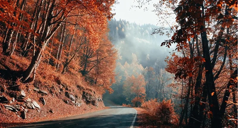پاییز بهترین زمان سفر به شمال برای هوای مطبوع